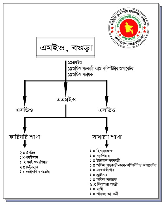 সাংগঠনিক কাঠামো